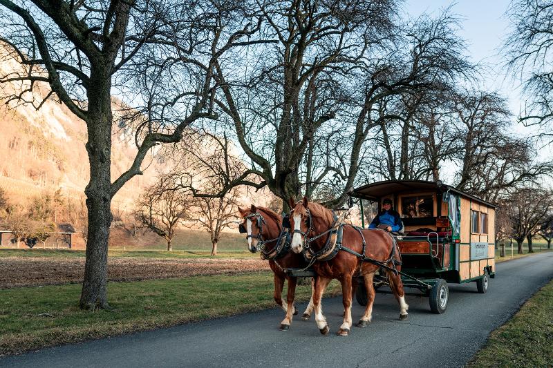 TDS00020014125937694_sized_800_0